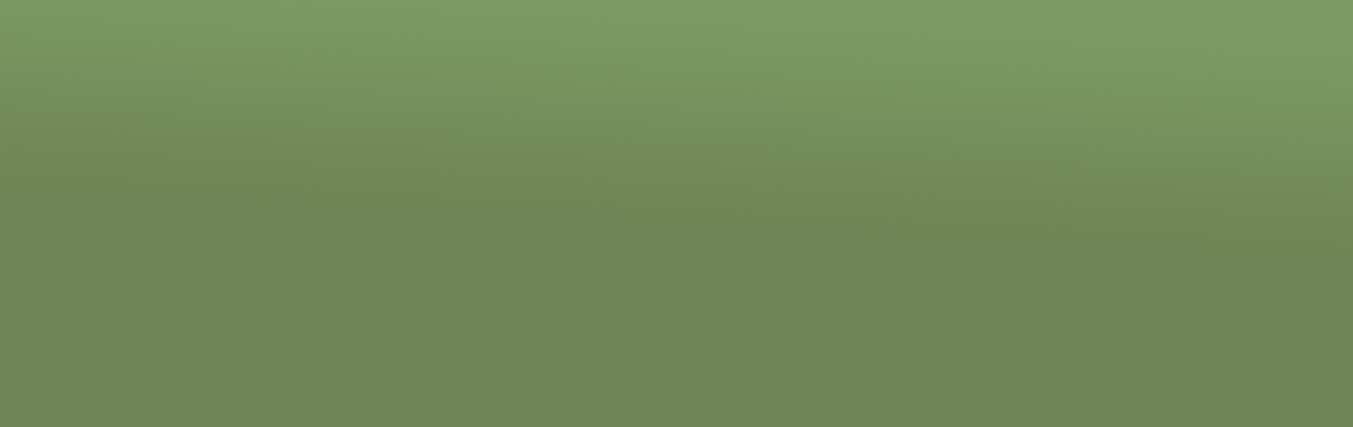 fond-de-page-vert